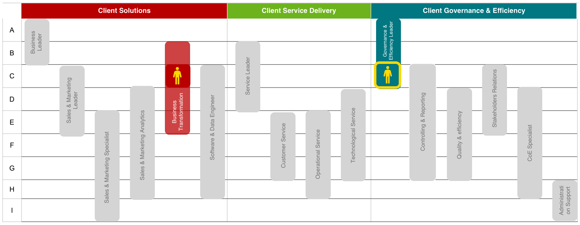 C_Governance & Efficiency Leader